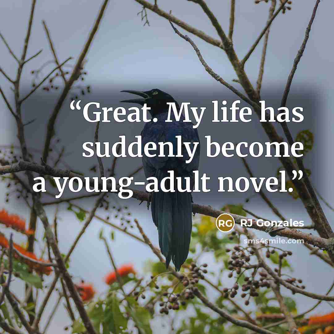 “Great. My life has suddenly become a young-adult novel.” quote by RJ Gonzales