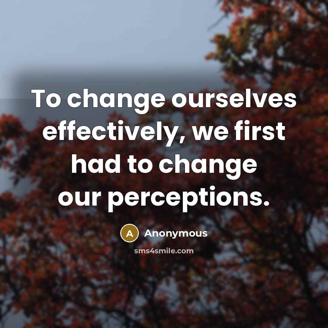 “To change ourselves effectively, we first had to change our perceptions.” quote by Anonymous