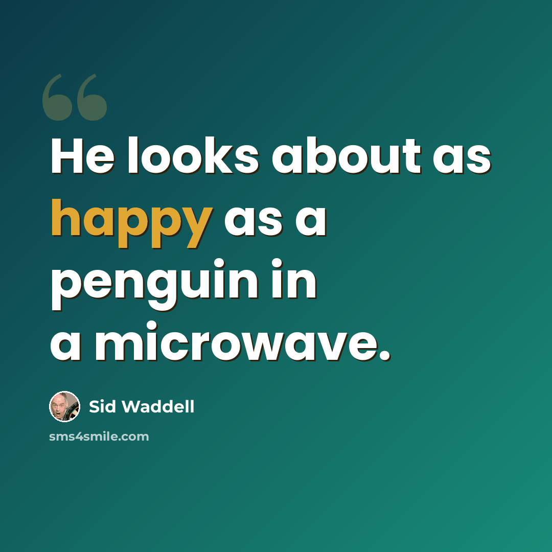 “He looks about as happy as a penguin in a microwave.” quote by Sid Waddell