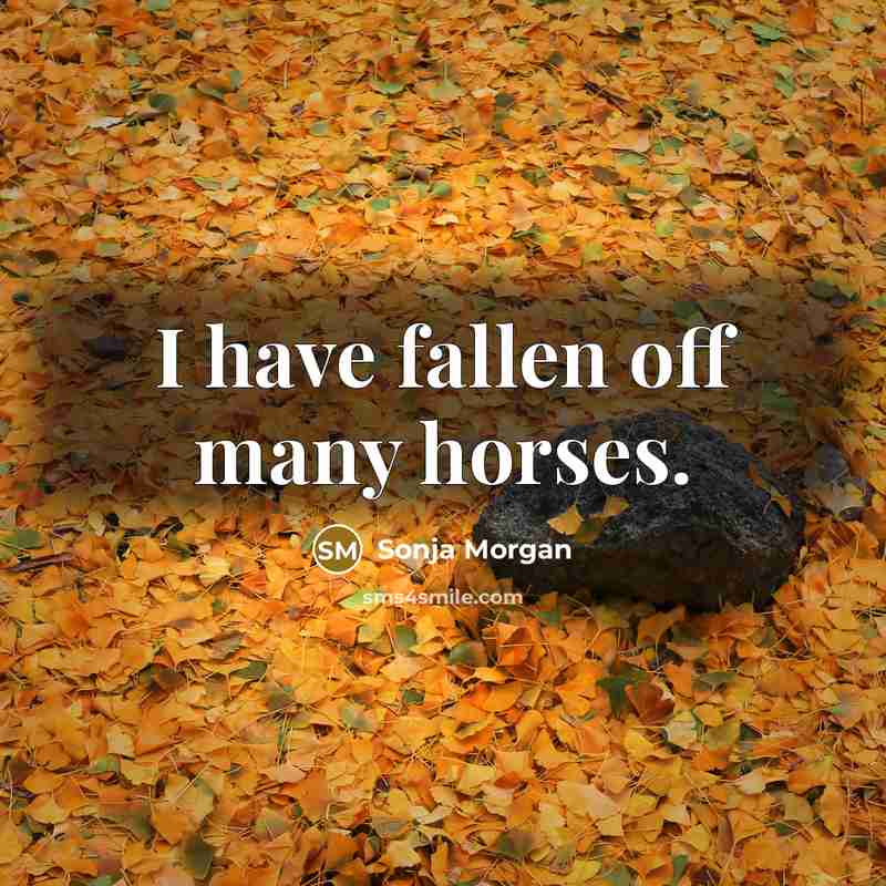 “I have fallen off many horses.” quote by Sonja Morgan
