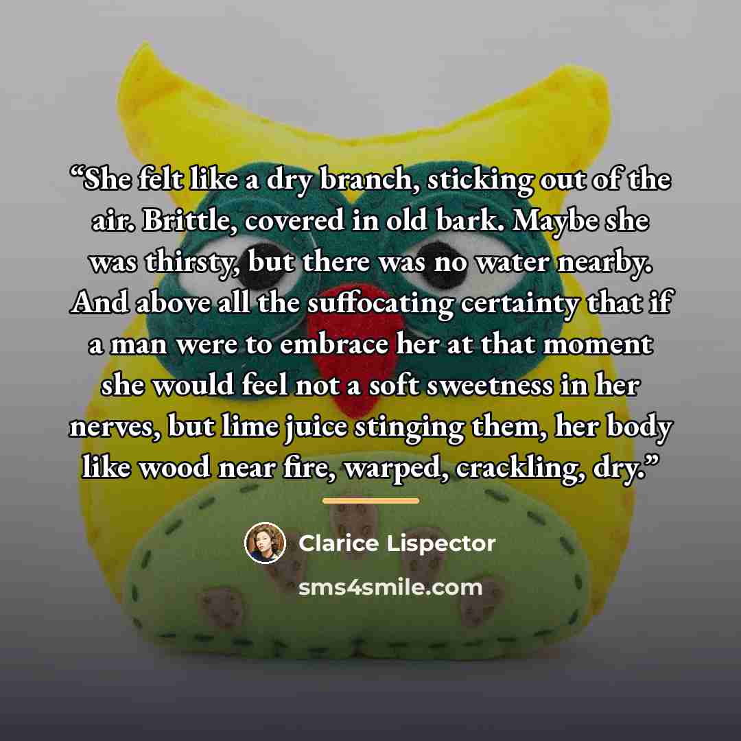 “She felt like a dry branch, sticking out of the air. Brittle, covered in old bark. Maybe she was thirsty, but there was no water nearby. And above all the suffocating certainty that if a man were to embrace her at that moment she would feel not a soft sweetness in her nerves, but lime juice…” quote by Clarice Lispector