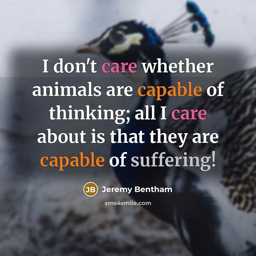 “I don't care whether animals are capable of thinking; all I care about is that they are capable of suffering!” quote by Jeremy Bentham