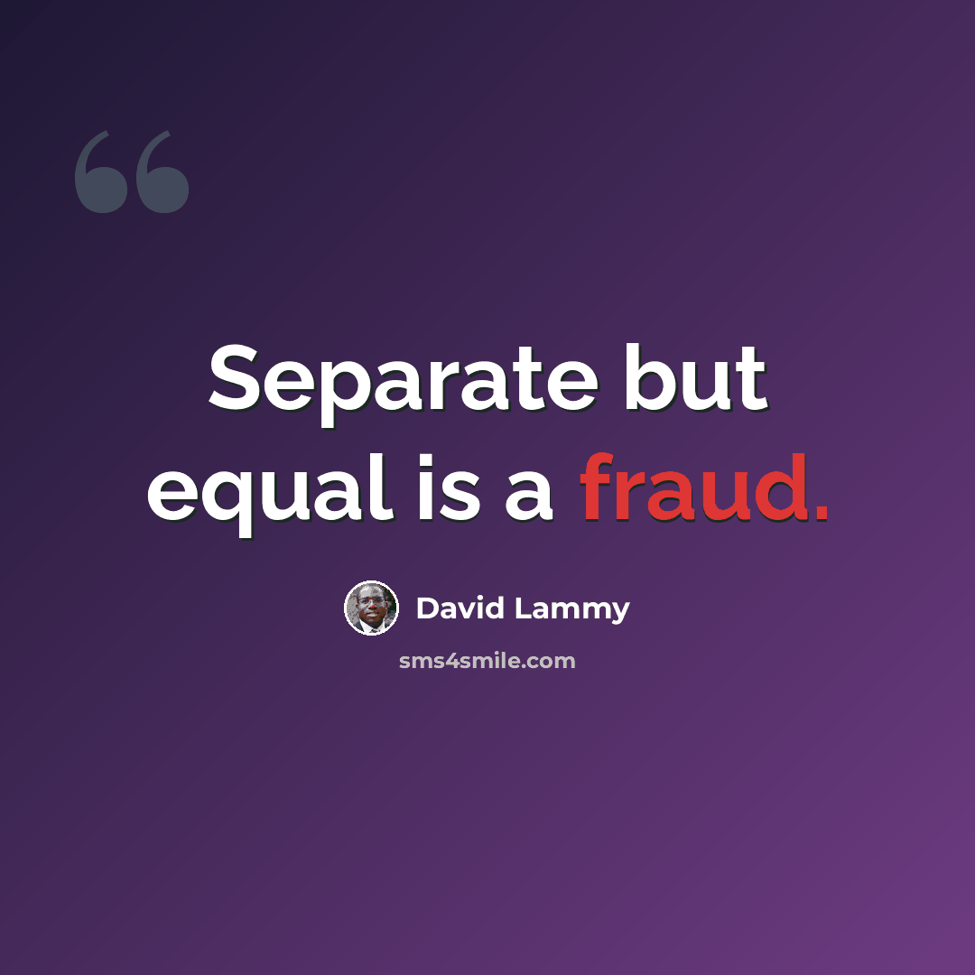“Separate but equal is a fraud.” quote by David Lammy