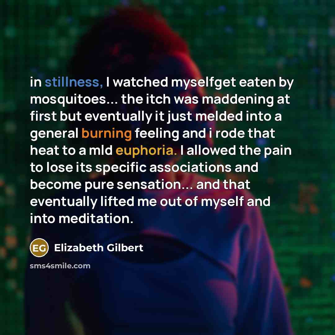 “in stillness, I watched myselfget eaten by mosquitoes... the itch was maddening at first but eventually it just melded into a general burning feeling and i rode that heat to a mld euphoria. I allowed the pain to lose its specific associations and become pure sensation... and that eventually lifted…” quote by Elizabeth Gilbert