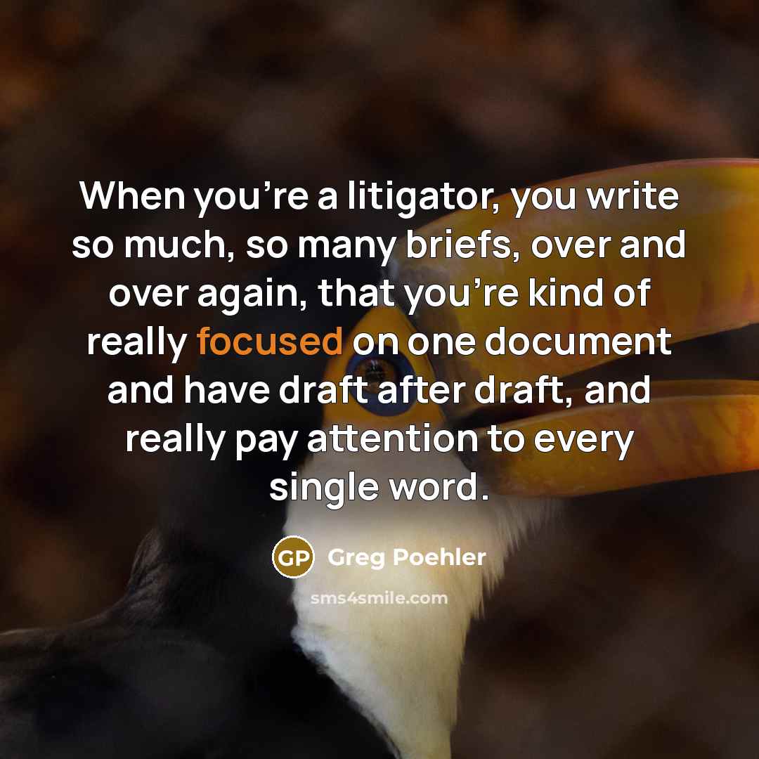 “When you're a litigator, you write so much, so many briefs, over and over again, that you're kind of really focused on one document and have draft after draft, and really pay attention to every single word.” quote by Greg Poehler