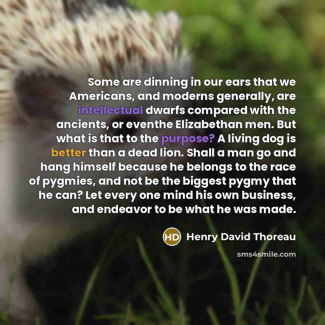 “Some are dinning in our ears that we Americans, and moderns generally, are intellectual dwarfs compared with the ancients, or eventhe Elizabethan men. But what is that to the purpose? A living dog is better than a dead lion. Shall a man go and hang himself because he belongs to the race of…” quote by Henry David Thoreau