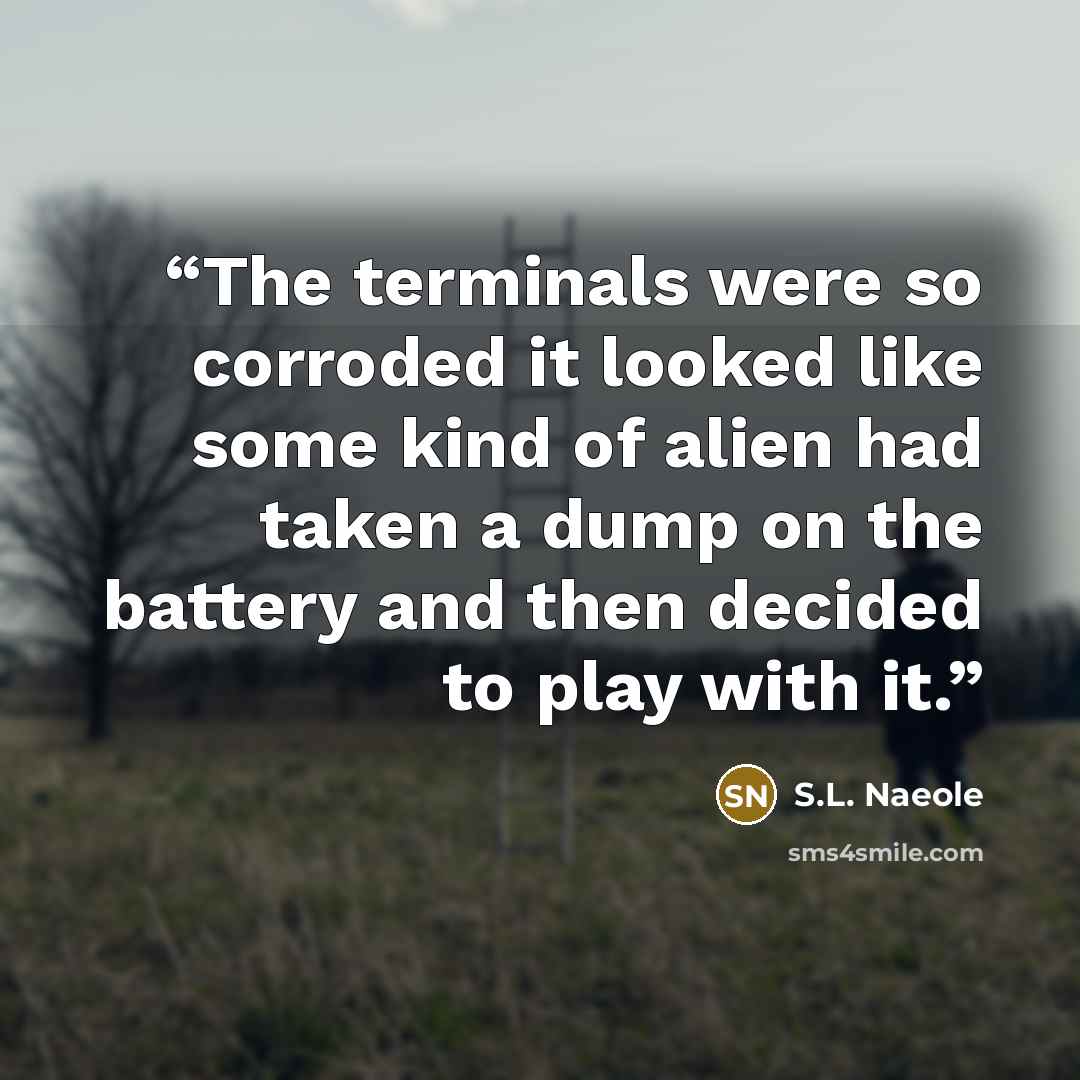 “The terminals were so corroded it looked like some kind of alien had taken a dump on the battery and then decided to play with it.” quote by S.L. Naeole
