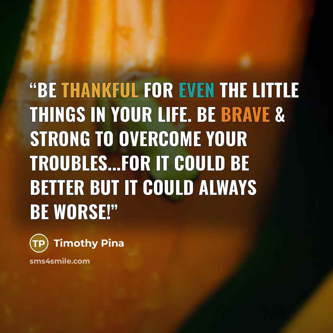 “Be thankful for even the little things in your life. Be brave & strong to overcome your troubles...for it could be better but it could always be worse!” quote by Timothy Pina