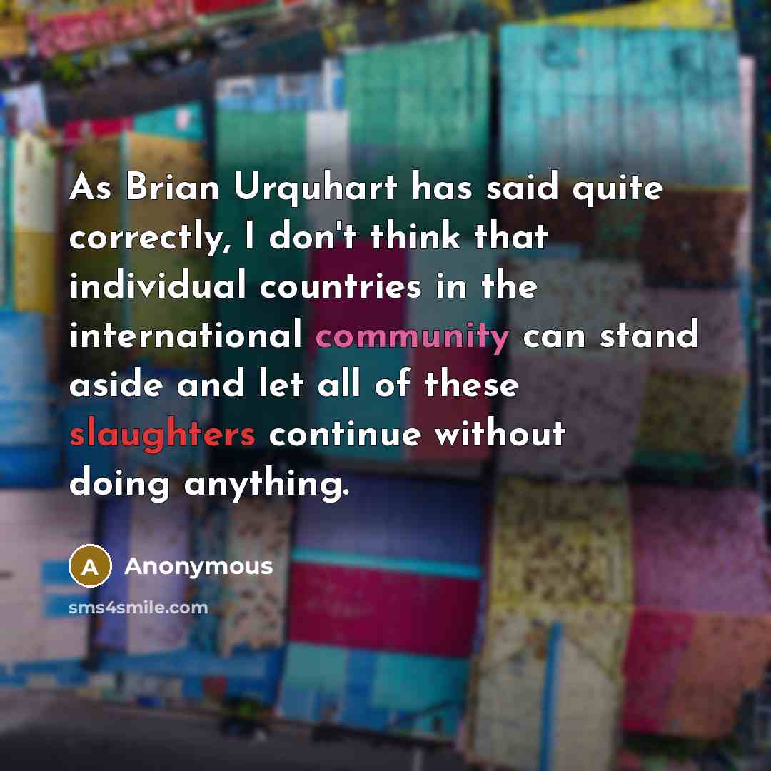 “As Brian Urquhart has said quite correctly, I don't think that individual countries in the international community can stand aside and let all of these slaughters continue without doing anything.” quote by Anonymous