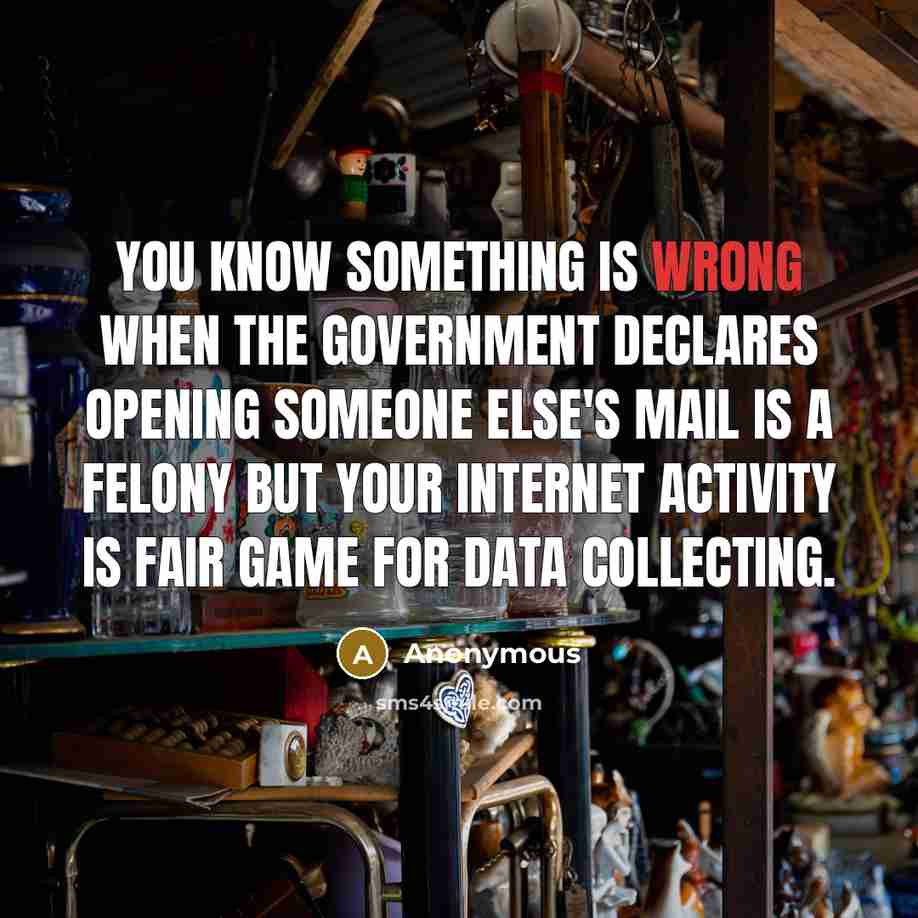 “You know something is wrong when the government declares opening someone else's mail is a felony but your internet activity is fair game for data collecting.” quote by Anonymous