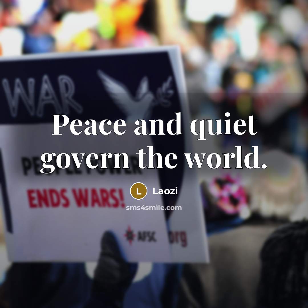 “Peace and quiet govern the world.” quote by Laozi