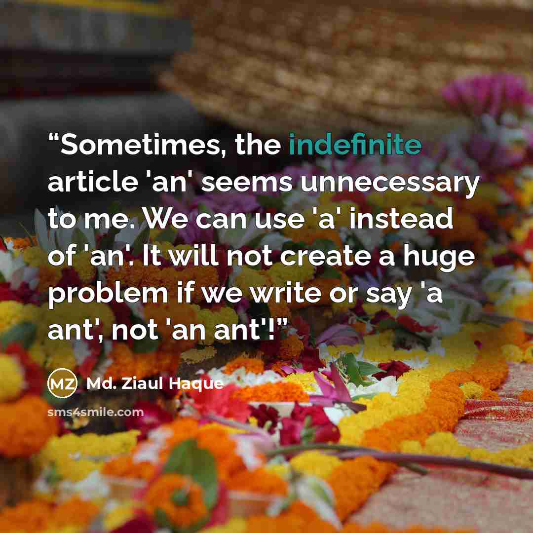 “Sometimes, the indefinite article 'an' seems unnecessary to me. We can use 'a' instead of 'an'. It will not create a huge problem if we write or say 'a ant', not 'an ant'!” quote by Md. Ziaul Haque