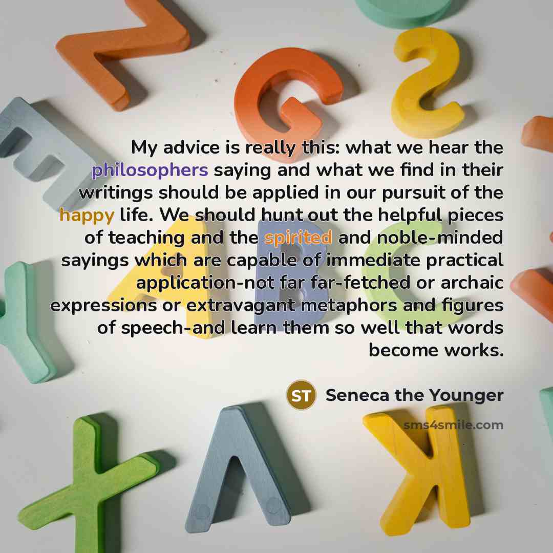 “My advice is really this: what we hear the philosophers saying and what we find in their writings should be applied in our pursuit of the happy life. We should hunt out the helpful pieces of teaching and the spirited and noble-minded sayings which are capable of immediate practical application-not…” quote by Seneca the Younger