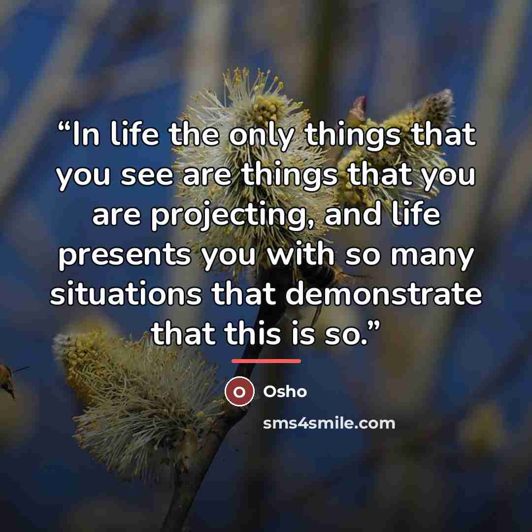 “In life the only things that you see are things that you are projecting, and life presents you with so many situations that demonstrate that this is so.” quote by Osho