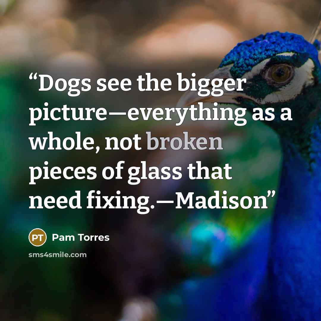 “Dogs see the bigger picture—everything as a whole, not broken pieces of glass that need fixing.—Madison” quote by Pam Torres