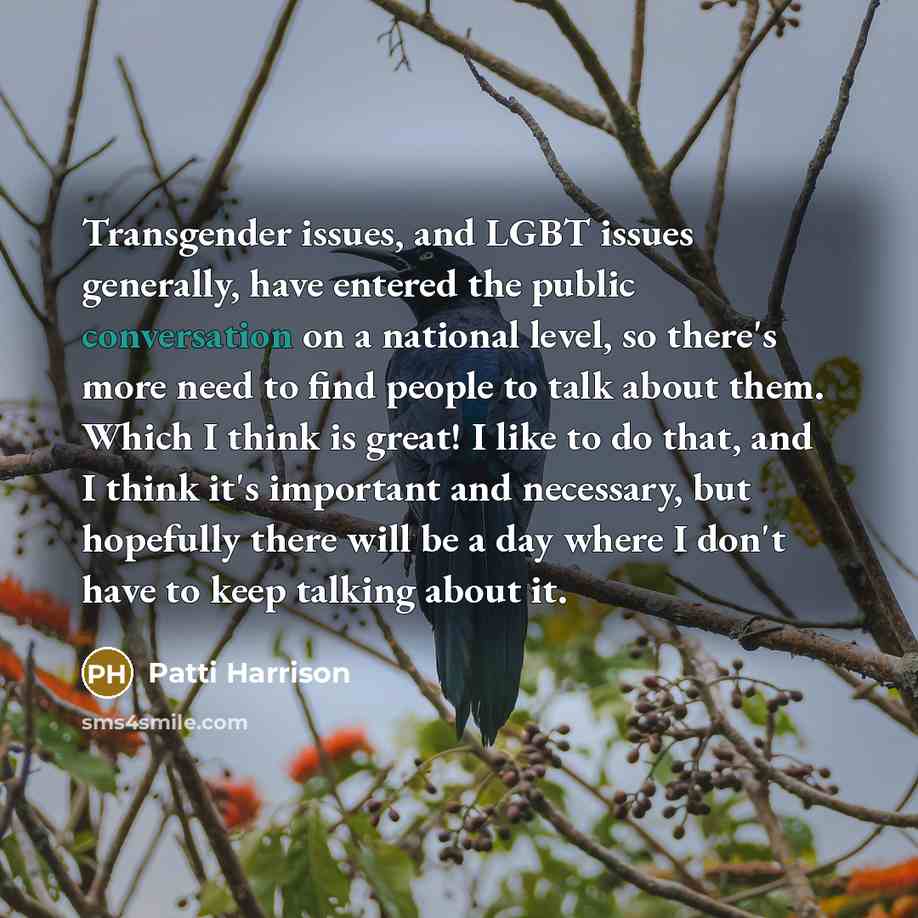 “Transgender issues, and LGBT issues generally, have entered the public conversation on a national level, so there's more need to find people to talk about them. Which I think is great! I like to do that, and I think it's important and necessary, but hopefully there will be a day where I don't have…” quote by Patti Harrison