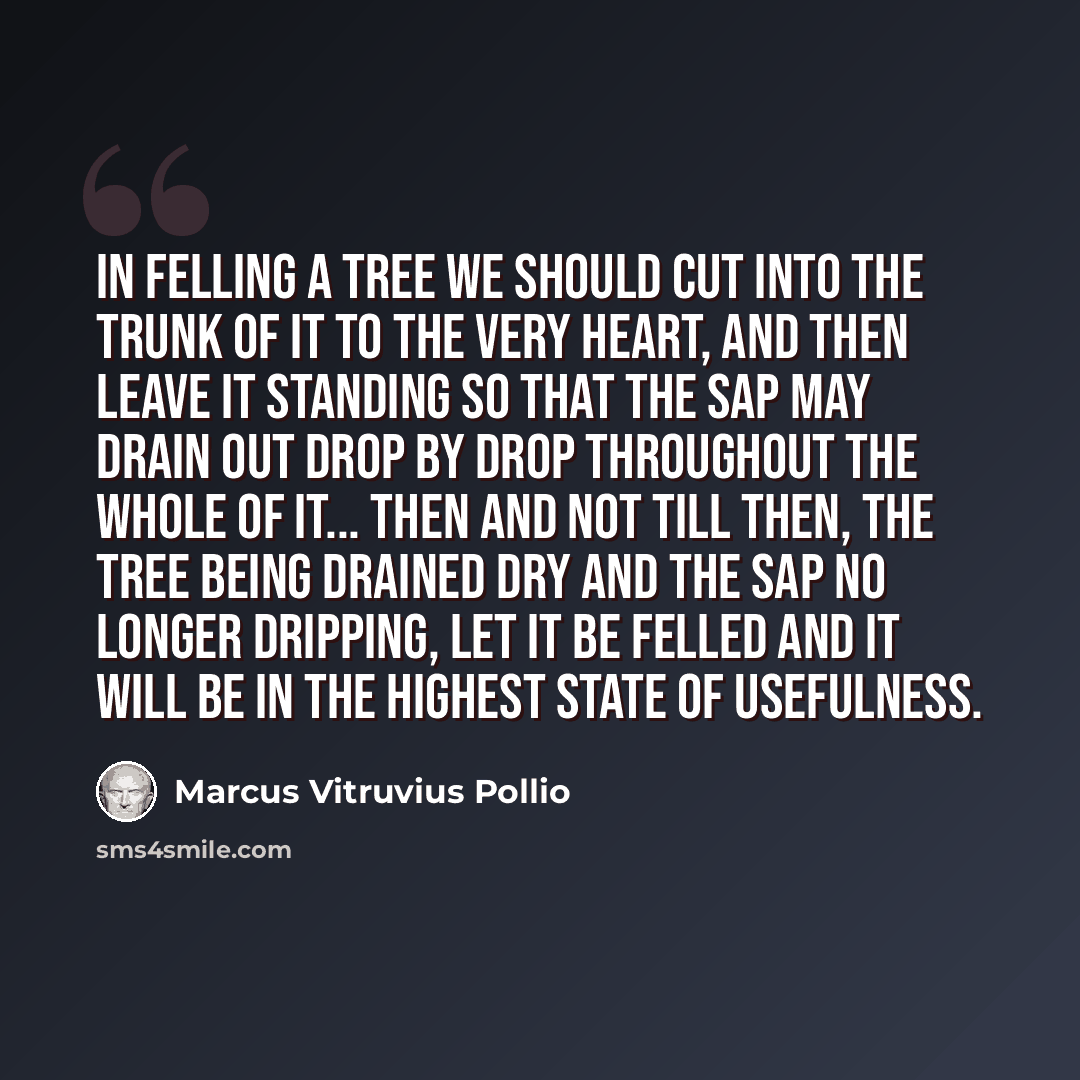 “In felling a tree we should cut into the trunk of it to the very heart, and then leave it standing so that the sap may drain out drop by drop throughout the whole of it... Then and not till then, the tree being drained dry and the sap no longer dripping, let it be felled and it will be in the…” quote by Marcus Vitruvius Pollio