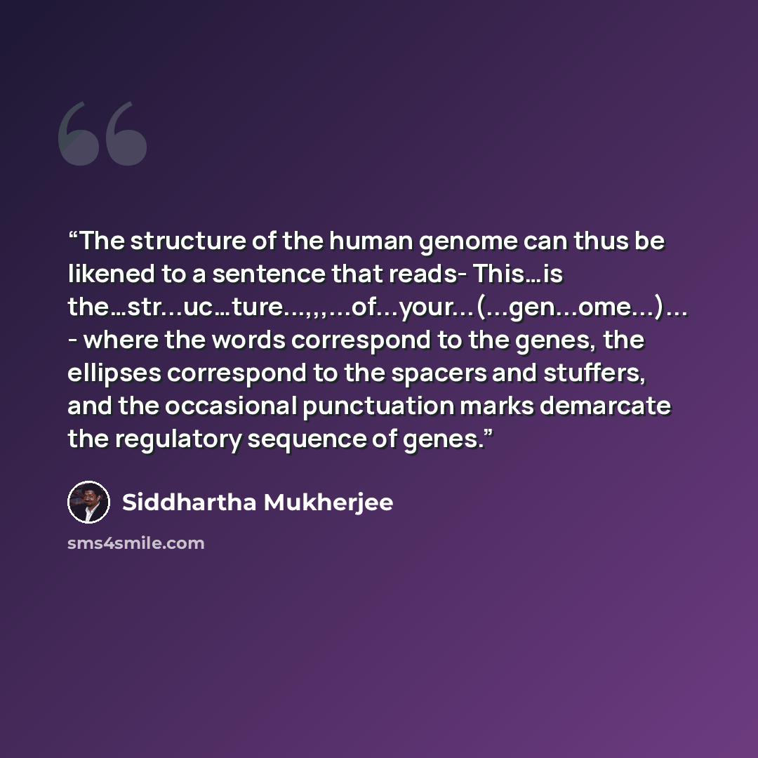 “The structure of the human genome can thus be likened to a sentence that reads- This…is the…str...uc…ture...,,,...of...your...(...gen...ome...)... - where the words correspond to the genes, the ellipses correspond to the spacers and stuffers, and the occasional punctuation marks demarcate the…” quote by Siddhartha Mukherjee