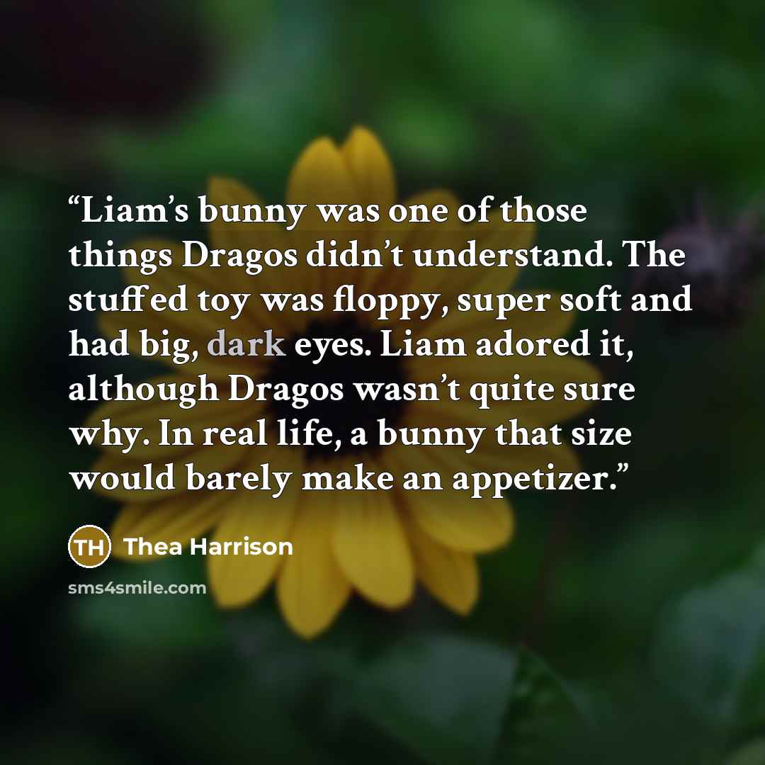 “Liam’s bunny was one of those things Dragos didn’t understand. The stuffed toy was floppy, super soft and had big, dark eyes. Liam adored it, although Dragos wasn’t quite sure why. In real life, a bunny that size would barely make an appetizer.” quote by Thea Harrison
