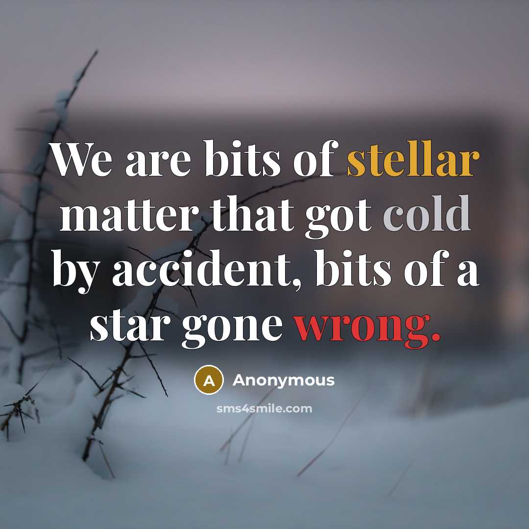 “We are bits of stellar matter that got cold by accident, bits of a star gone wrong.” quote by Anonymous