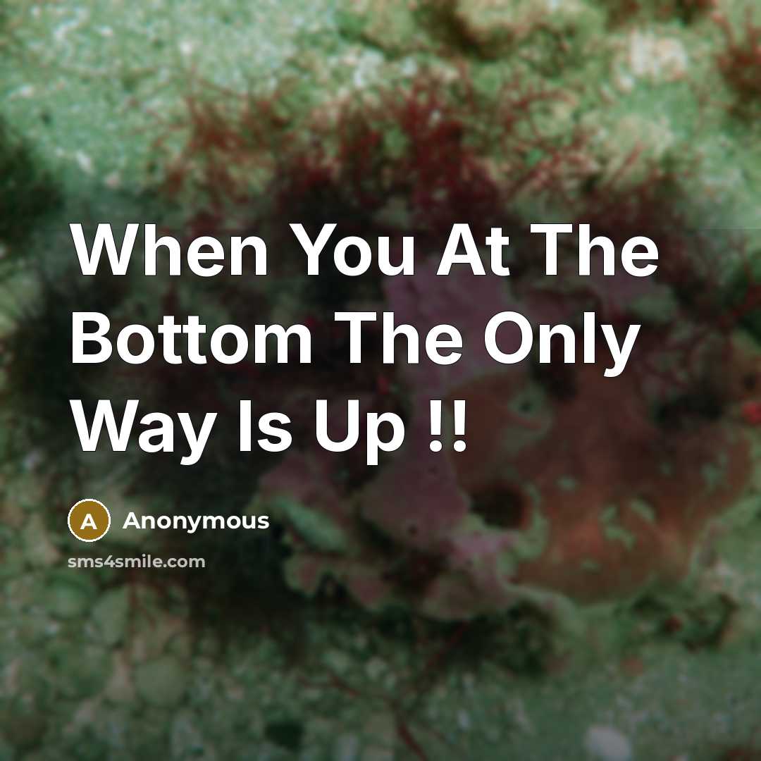 “When You At The Bottom The Only Way Is Up !!” quote by Anonymous