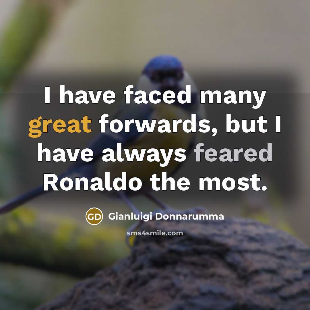 “I have faced many great forwards, but I have always feared Ronaldo the most.” quote by Gianluigi Donnarumma