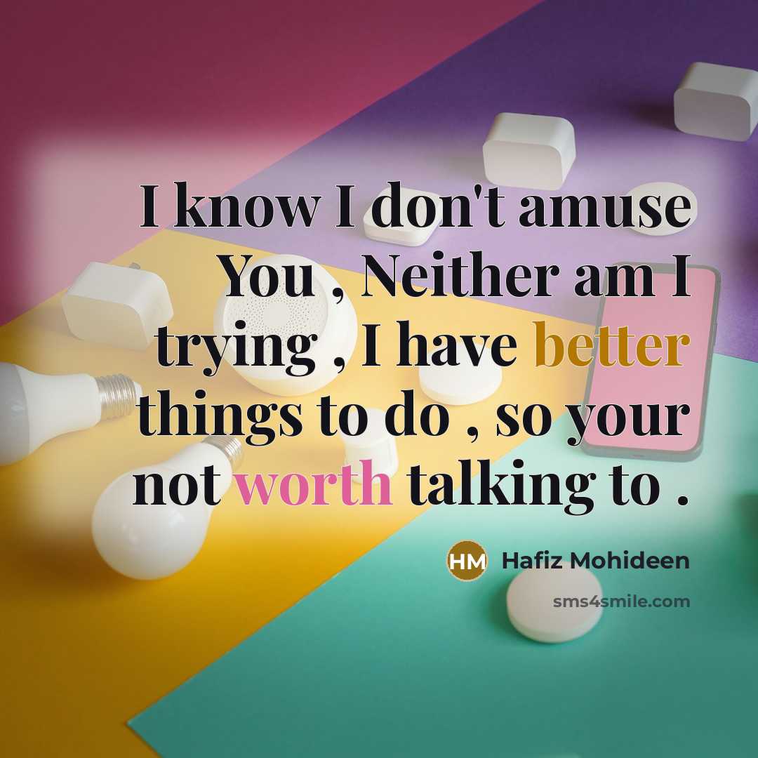 “I know I don't amuse You , Neither am I trying , I have better things to do , so your not worth talking to .” quote by Hafiz Mohideen