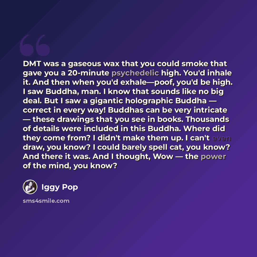“DMT was a gaseous wax that you could smoke that gave you a 20-minute psychedelic high. You'd inhale it. And then when you'd exhale—poof, you'd be high. I saw Buddha, man. I know that sounds like no big deal. But I saw a gigantic holographic Buddha — correct in every way! Buddhas can be very…” quote by Iggy Pop