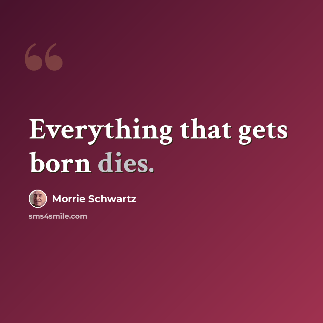“Everything that gets born dies.” quote by Morrie Schwartz