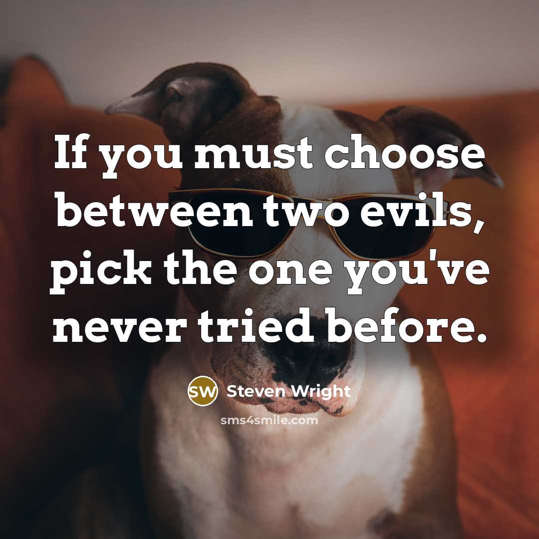 “If you must choose between two evils, pick the one you've never tried before.” quote by Steven Wright
