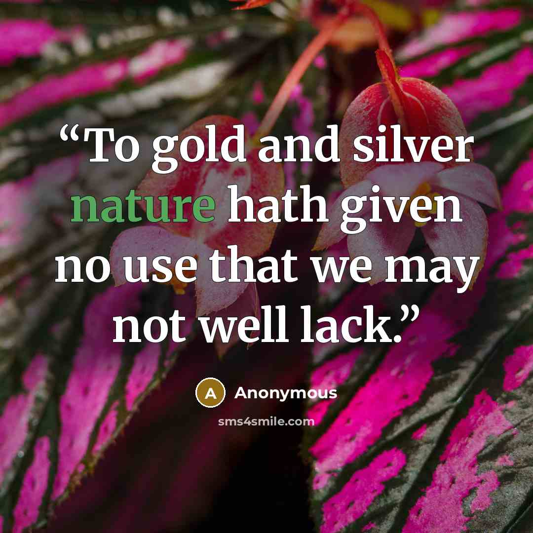 “To gold and silver nature hath given no use that we may not well lack.” quote by Anonymous