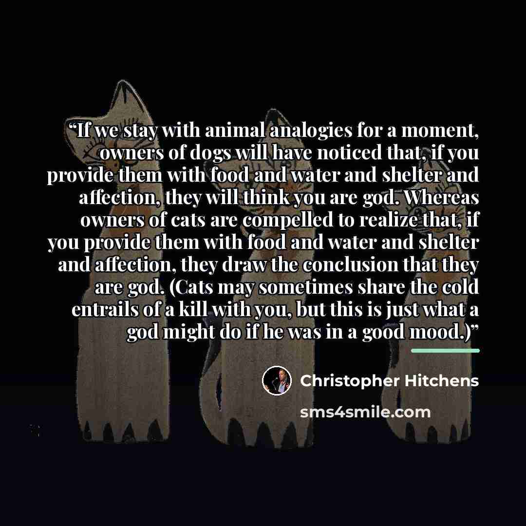 “If we stay with animal analogies for a moment, owners of dogs will have noticed that, if you provide them with food and water and shelter and affection, they will think you are god. Whereas owners of cats are compelled to realize that, if you provide them with food and water and shelter and…” quote by Christopher Hitchens