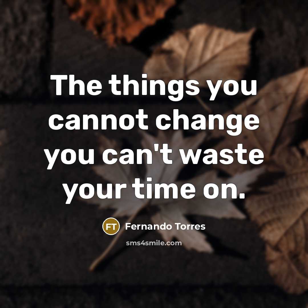 “The things you cannot change you can't waste your time on.” quote by Fernando Torres