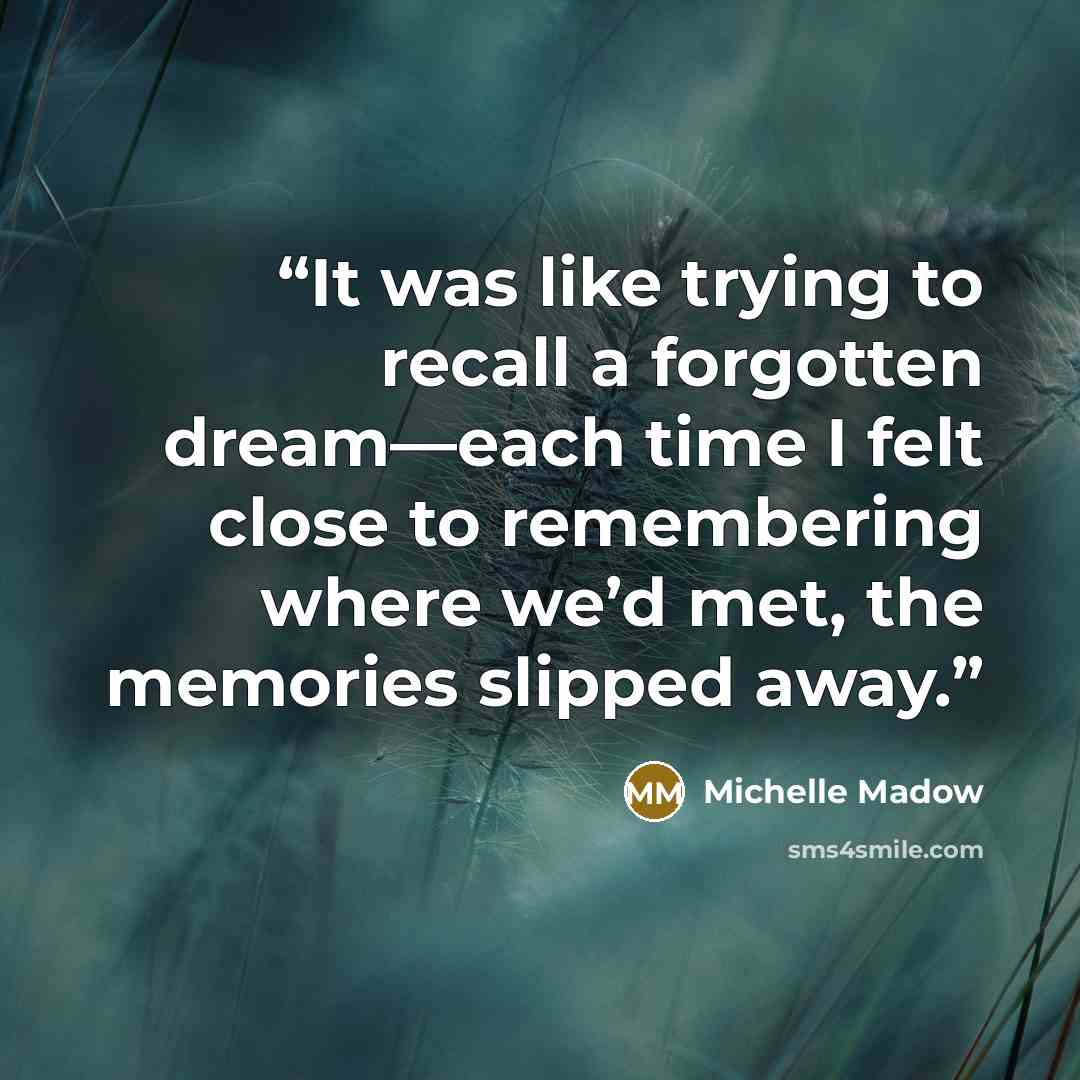“It was like trying to recall a forgotten dream—each time I felt close to remembering where we’d met, the memories slipped away.” quote by Michelle Madow