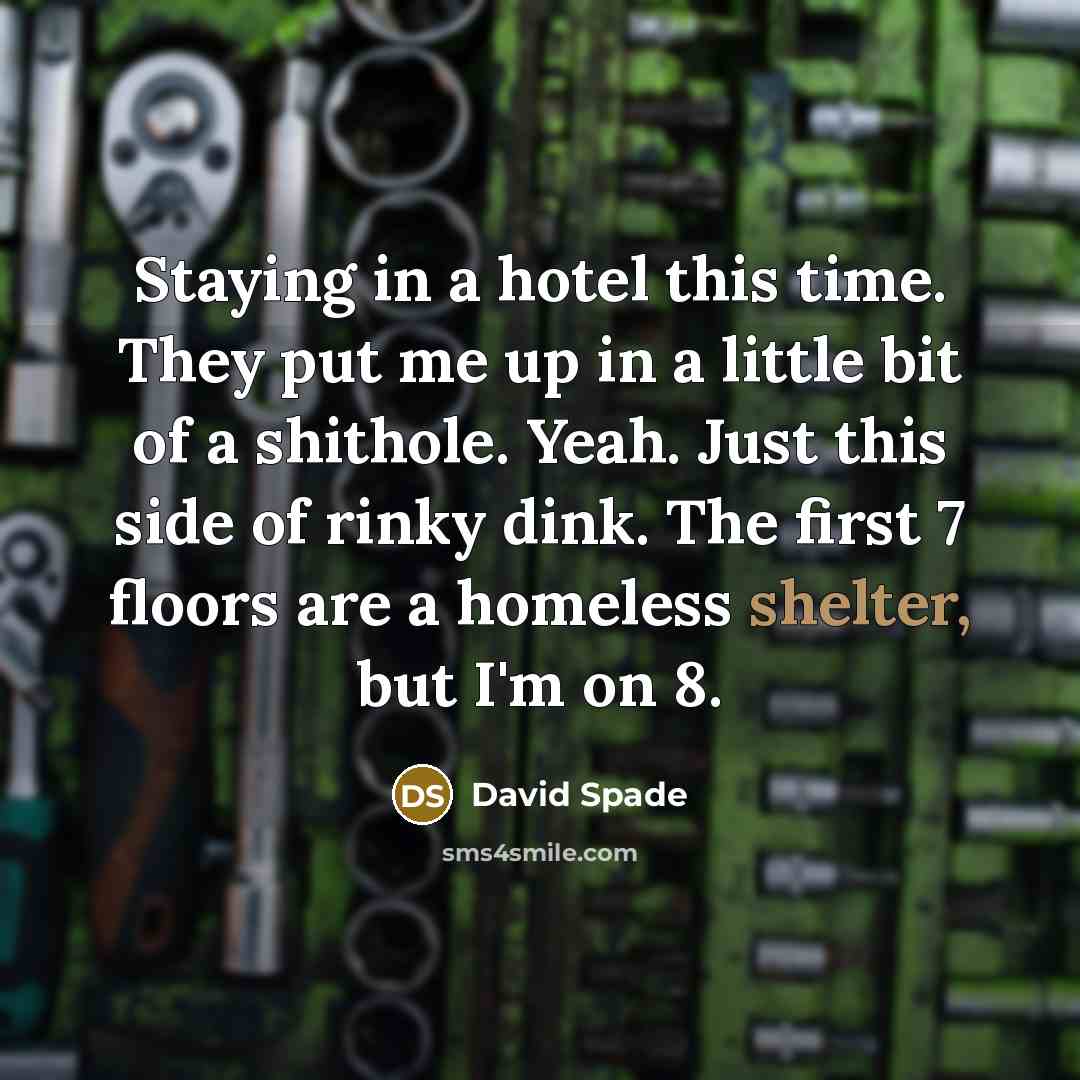 “Staying in a hotel this time. They put me up in a little bit of a shithole. Yeah. Just this side of rinky dink. The first 7 floors are a homeless shelter, but I'm on 8.” quote by David Spade