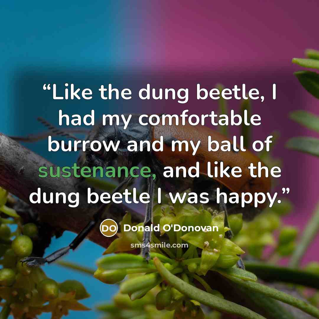 “Like the dung beetle, I had my comfortable burrow and my ball of sustenance, and like the dung beetle I was happy.” quote by Donald O'Donovan