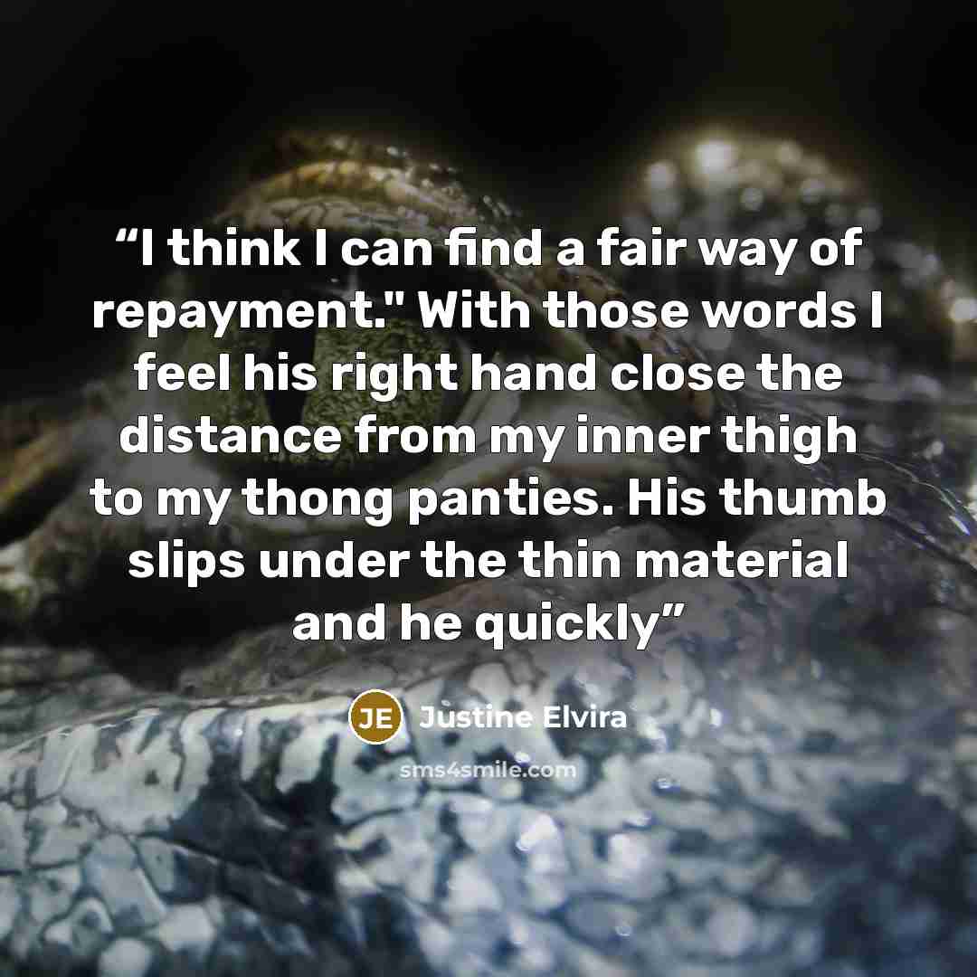 “I think I can find a fair way of repayment." With those words I feel his right hand close the distance from my inner thigh to my thong panties. His thumb slips under the thin material and he quickly” quote by Justine Elvira