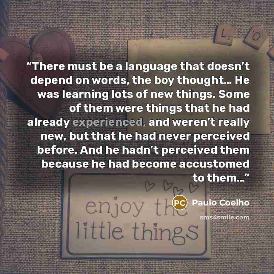“There must be a language that doesn’t depend on words, the boy thought… He was learning lots of new things. Some of them were things that he had already experienced, and weren’t really new, but that he had never perceived before. And he hadn’t perceived them because he had become accustomed to them…” quote by Paulo Coelho