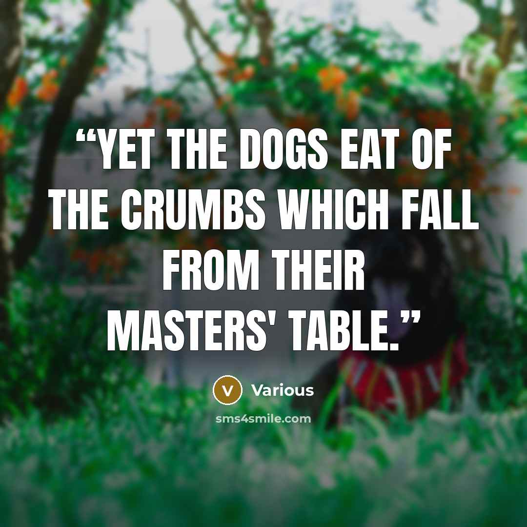 “Yet the dogs eat of the crumbs which fall from their masters' table.” quote by Various