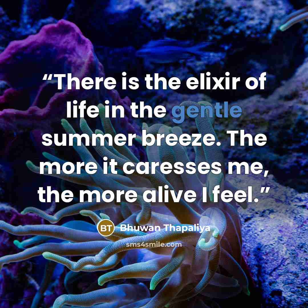 “There is the elixir of life in the gentle summer breeze. The more it caresses me, the more alive I feel.” quote by Bhuwan Thapaliya