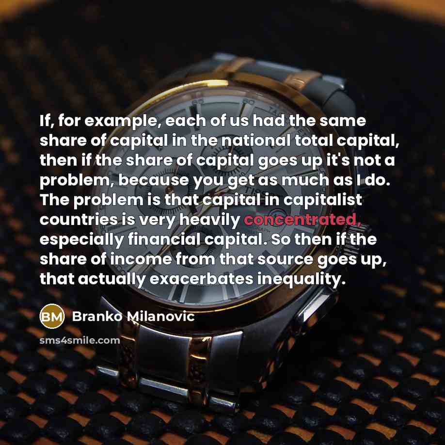 “If, for example, each of us had the same share of capital in the national total capital, then if the share of capital goes up it's not a problem, because you get as much as I do. The problem is that capital in capitalist countries is very heavily concentrated, especially financial capital. So then…” quote by Branko Milanovic