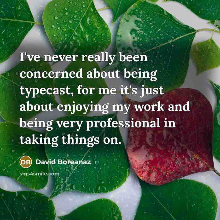 “I've never really been concerned about being typecast, for me it's just about enjoying my work and being very professional in taking things on.” quote by David Boreanaz