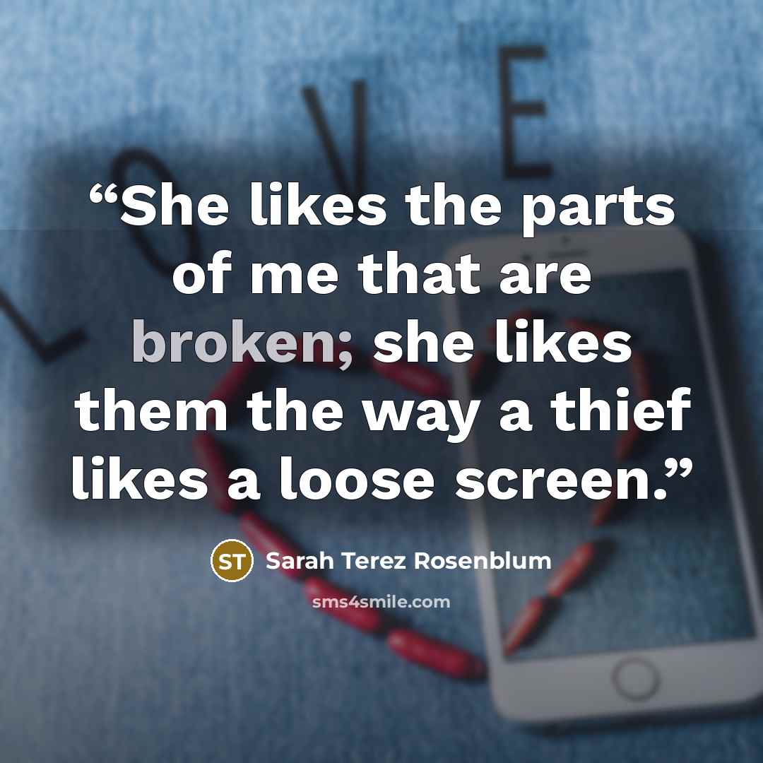 “She likes the parts of me that are broken; she likes them the way a thief likes a loose screen.” quote by Sarah Terez Rosenblum