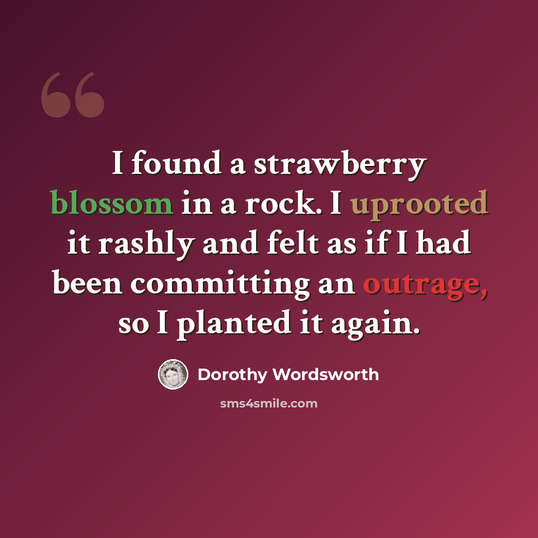“I found a strawberry blossom in a rock. I uprooted it rashly and felt as if I had been committing an outrage, so I planted it again.” quote by Dorothy Wordsworth