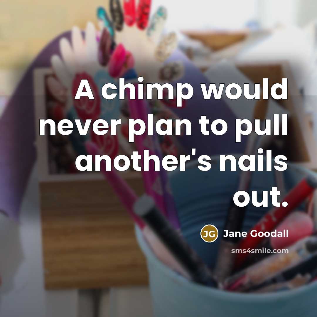 “A chimp would never plan to pull another's nails out.” quote by Jane Goodall