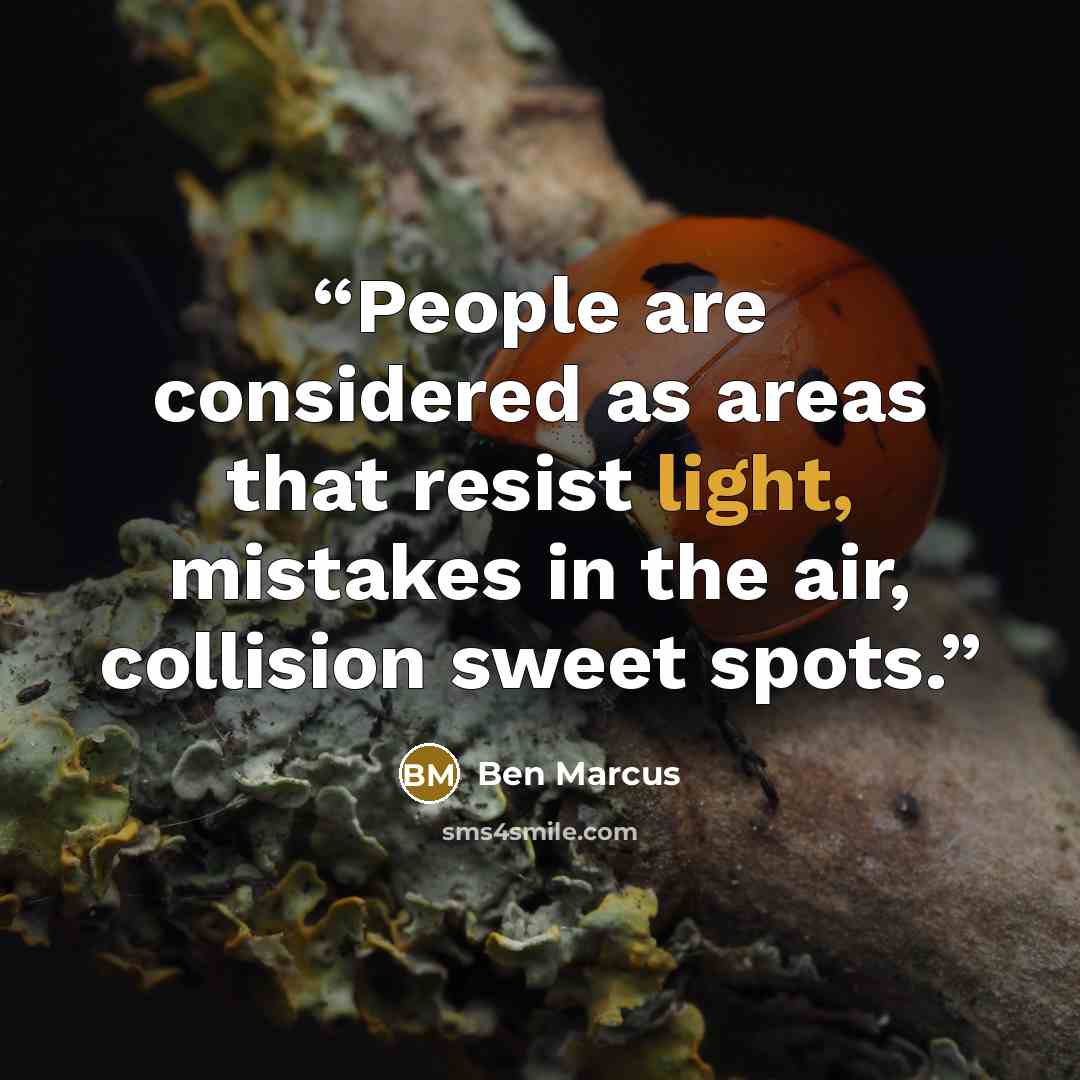 “People are considered as areas that resist light, mistakes in the air, collision sweet spots.” quote by Ben Marcus