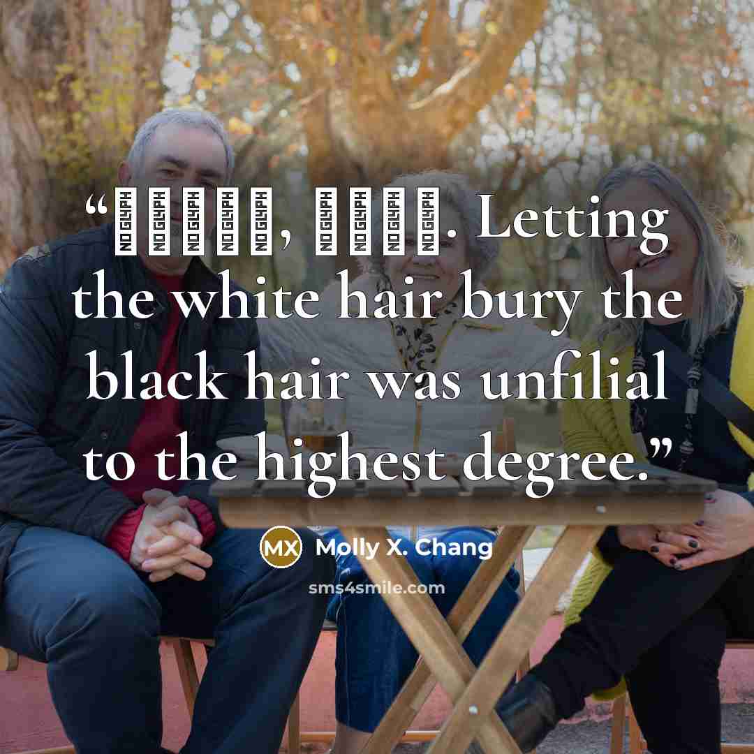 “白发送黑发, 不孝之道. Letting the white hair bury the black hair was unfilial to the highest degree.” quote by Molly X. Chang