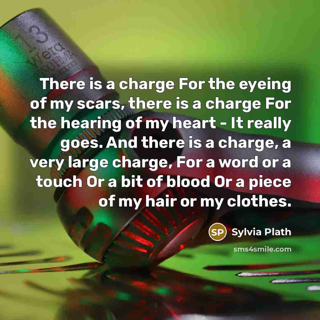 “There is a charge For the eyeing of my scars, there is a charge For the hearing of my heart - It really goes. And there is a charge, a very large charge, For a word or a touch Or a bit of blood Or a piece of my hair or my clothes.” quote by Sylvia Plath