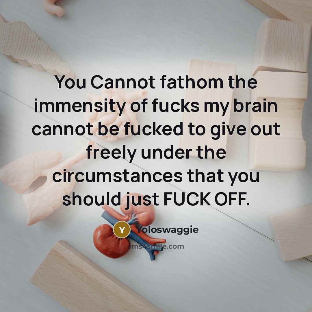 “You Cannot fathom the immensity of fucks my brain cannot be fucked to give out freely under the circumstances that you should just FUCK OFF.” quote by Yoloswaggie