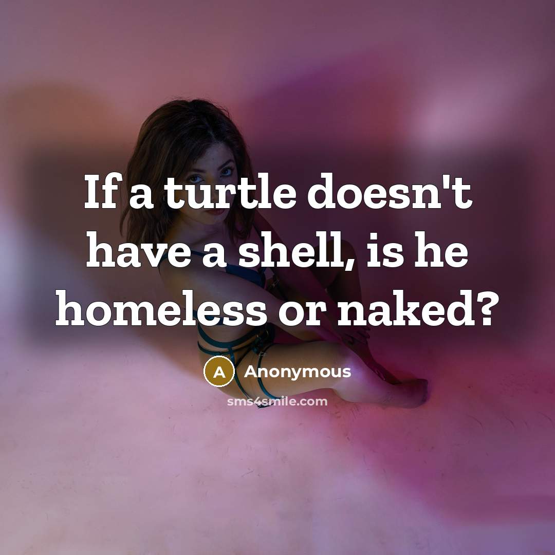 “If a turtle doesn't have a shell, is he homeless or naked?” quote by Anonymous